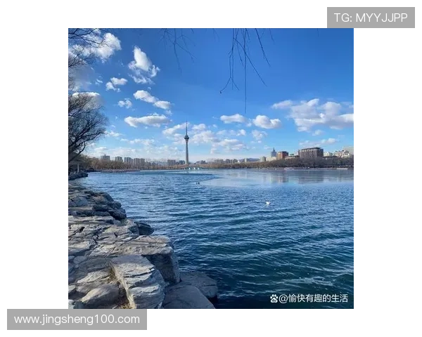 探寻生命的蓝色脉搏：水中世界的静谧与活力