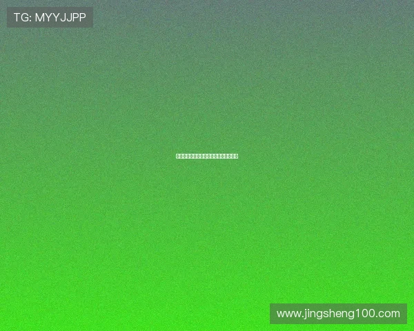 《黑帮法规》：秩序的暗影，规则的低语